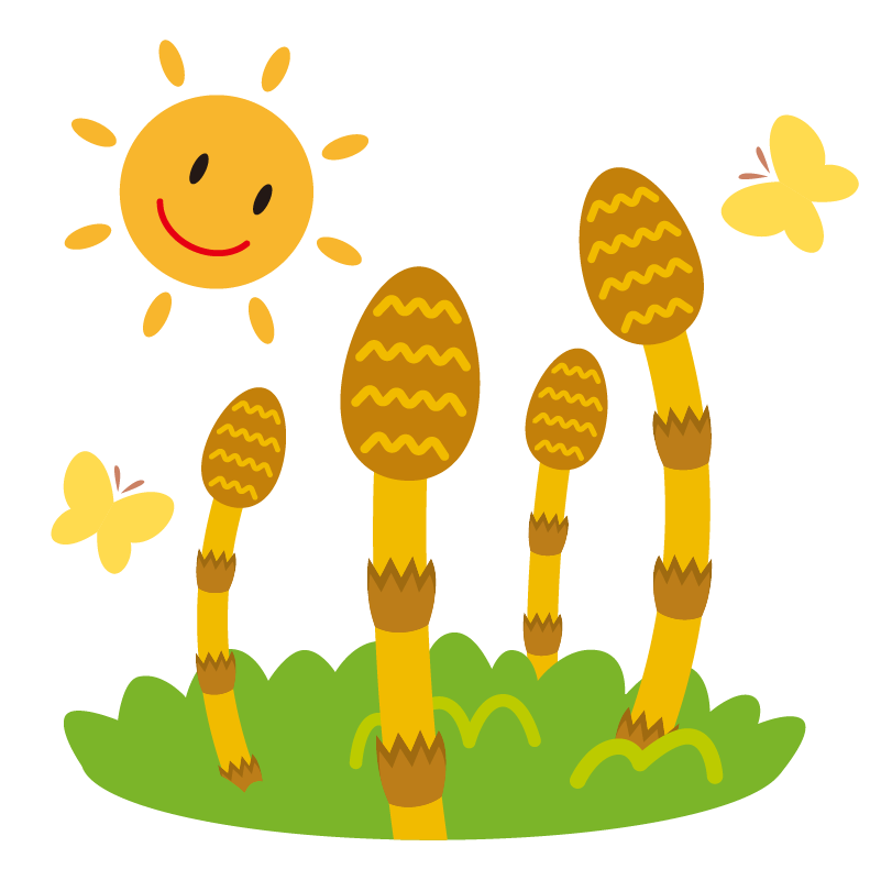 古賀事業所 3月の画像